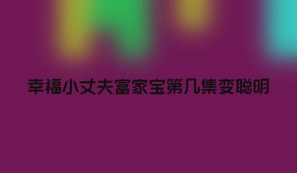 幸福小丈夫富家宝第几集变聪明