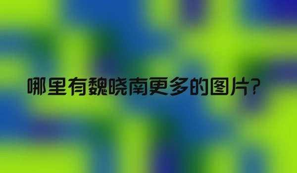 哪里有魏晓南更多的图片？