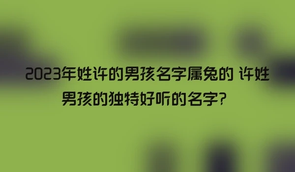 2023年姓许的男孩名字属兔的 许姓男孩的独特好听的名字？