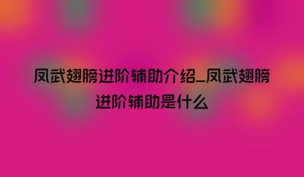 凤武翅膀进阶辅助介绍_凤武翅膀进阶辅助是什么
