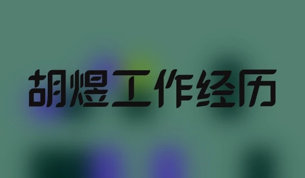 胡煜工作经历